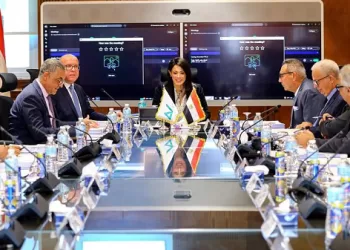 Egypt works on plan to develop, restructure NIB role