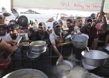 Hungry Palestinians in north Gaza search for food, sealed off from aid for a month by Israeli siege