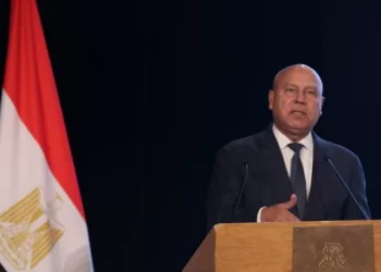 Deputy PM reviews executive stand of urgent plans for industrial development