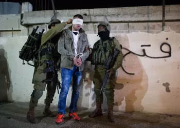 12 Palestinians arrested by Israeli forces in West Bank