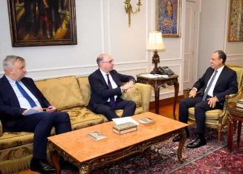 FM hails Egyptian-German relations in all domains