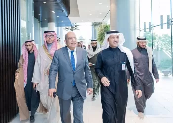 Egypt, Saudi Arabia boost power co-operation