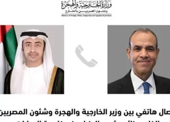 Egypt, UAE FMs mull developments in Syria