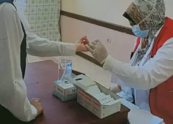 Egypt succeeded in enhancing health sector, eliminating Hepatitis C: IDSC