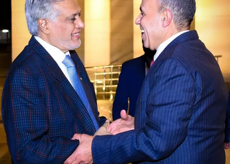 Egypt, Pakistan focus on trade, regional peace at D-8 Summit talks 1 - Egyptian Gazette