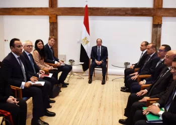 Sisi meets CEO of A.P. Moller-Maersk Group