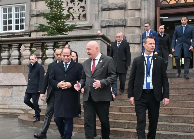 President Sisi meets Speaker of Danish Parliament 1 - Egyptian Gazette