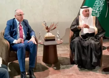 Cairo, Riyadh mull enhancing co-operation on cloud seeding