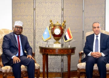 Egypt, Somalia agree to deepen strategic partnership