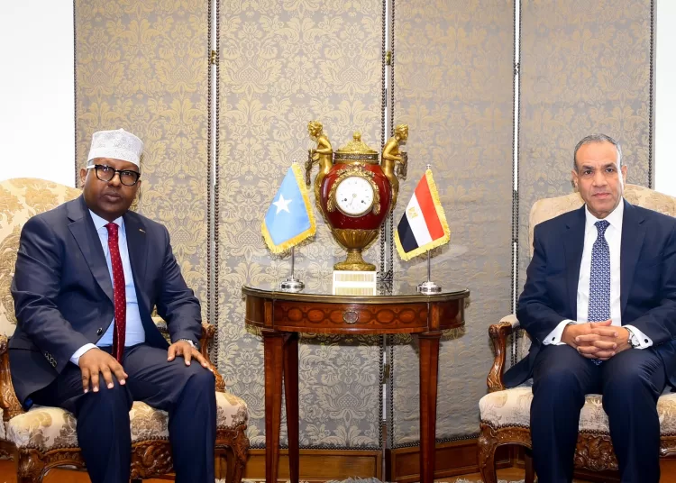 Egypt, Somalia agree to deepen strategic partnership 1 - Egyptian Gazette