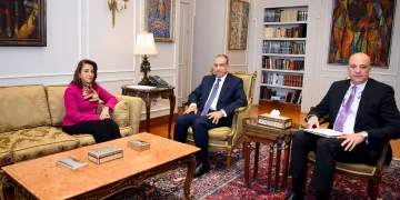 FM asserts importance of Egyptian role in supporting issues of African continent on all fronts 1 - Egyptian Gazette FM asserts importance of Egyptian role in supporting issues of African continent on all fronts