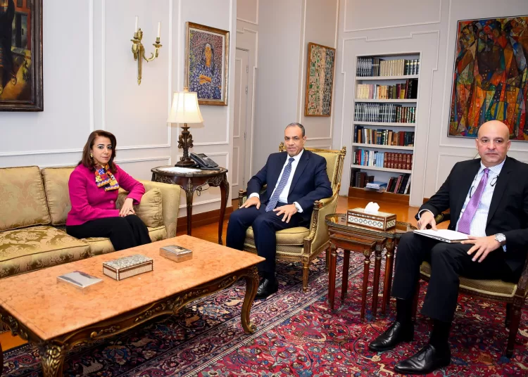 FM asserts importance of Egyptian role in supporting issues of African continent on all fronts 1 - Egyptian Gazette