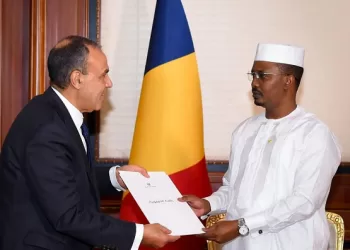 FM: President Sisi gave directives to push forward ties with African countries