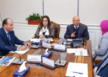 Upper Egypt’s local development program discussed