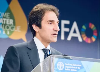 Radi: Egypt seeks to reach immediate, comprehensive cessation of  hostilities in Gaza Strip