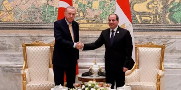 Sisi meets Erdogan on sidelines of D-8