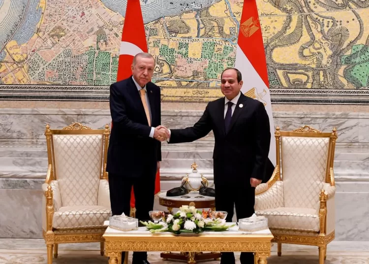 Sisi meets Erdogan on sidelines of D-8 1 - Egyptian Gazette