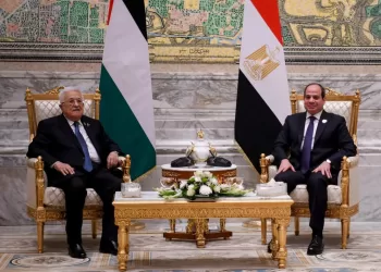 Sisi reaffirms unwavering support to Palestinians
