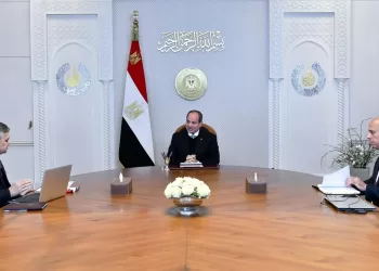 Sisi reviews progress of Suez Canal development projects
