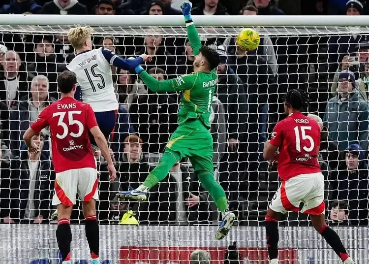 Spurs must bolster squad in transfer window 1 - Egyptian Gazette