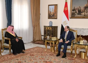 Cairo willing to expand cultural cooperation with Riyadh 