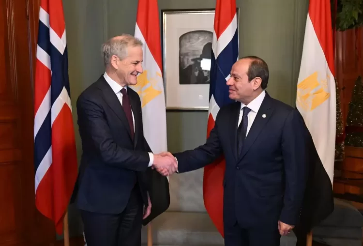 Egypt, Norway call for immediate ceasefire in Gaza 2 - Egyptian Gazette Egypt, Norway call for immediate ceasefire in Gaza 1 - Egyptian Gazette