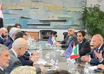 Egyptian-Italian RORO shipping route to increase Egyptian exports to European markets: min.