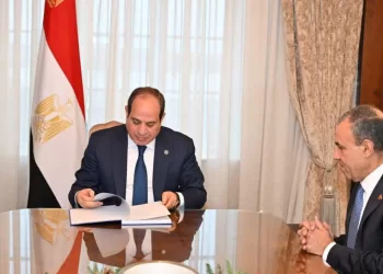 Sisi gov. to continue efforts of promoting comprehensive human rights in Egypt