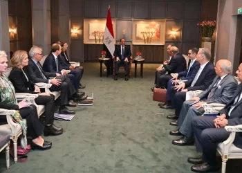 Sisi reviews with Norwegian companies Egyptian national strategy for increasing resources of renewable energy