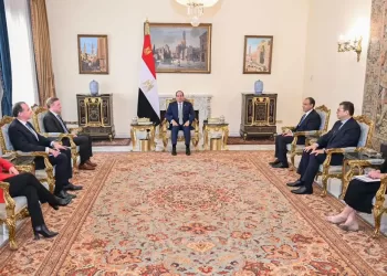 Sisi, senior US officials mull regional developments