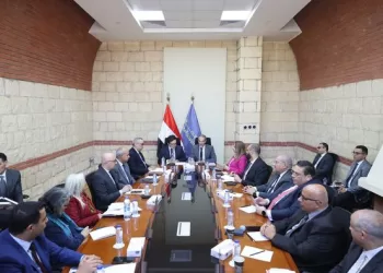Communications, culture ministers discuss progress made in implementing joint projects