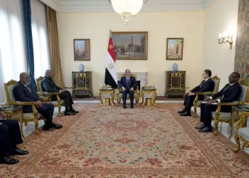 Sisi receives message from DRC president on promoting bilateral relations