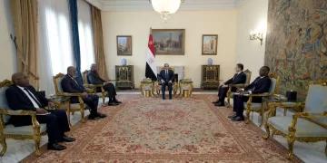 Sisi receives message from DRC president on promoting bilateral relations