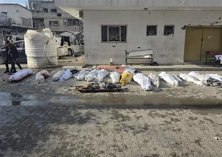 25 Palestinians killed in north Gaza massacre 1 - Egyptian Gazette