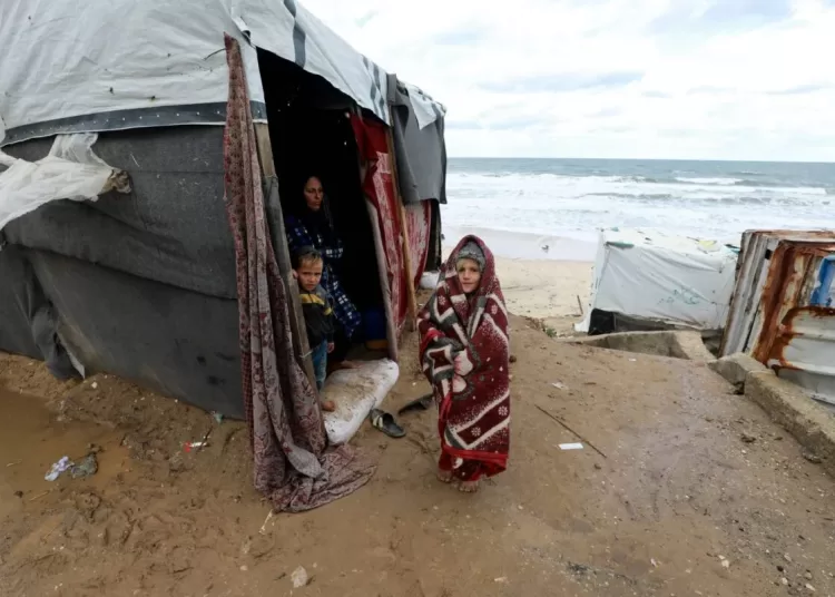 UNRWA says one million Gazans are at risk of death due to winter cold 1 - Egyptian Gazette