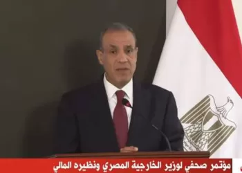 FM says Egypt willing to share anti-terrorism expertise with Mali