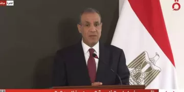 FM says Egypt willing to share anti-terrorism expertise with Mali