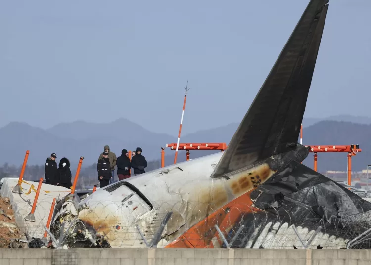US and Boeing investigators examine the site of a deadly South Korean plane crash 2 - Egyptian Gazette US and Boeing investigators examine the site of a deadly South Korean plane crash 1 - Egyptian Gazette
