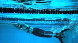 Egypt to take part in world finswimming championship next year