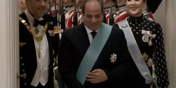 Sisi: Egypt-Denmark shared goals to boost co-operation”