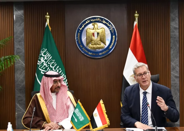 Egypt, S. Arabia seek to enhance co-operation in mining sector 2 - Egyptian Gazette Egypt, S. Arabia seek to enhance co-operation in mining sector 1 - Egyptian Gazette