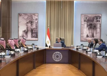 Egypt, S. Arabia discuss strengthening bilateral co-operation in industrial, mining sectors