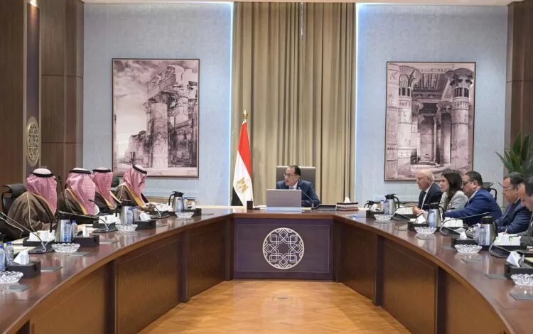 Egypt, S. Arabia discuss strengthening bilateral co-operation in industrial, mining sectors 1 - Egyptian Gazette