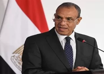 FM: Egypt backs WTO goals, principles