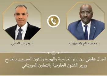 Egypt, Mauritania FMs discuss ties, Arab, African issues over phone