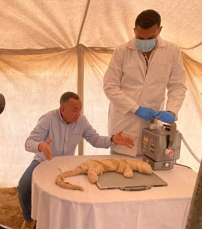 Egypt’s fight to preserve its ancient legacy amid greed and deceit 4 - Egyptian Gazette