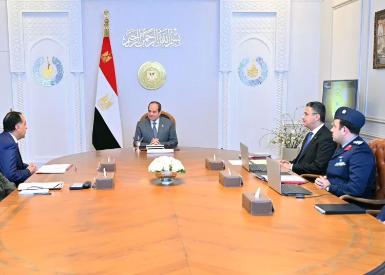 Sisi directs gov’t to ensure sustainable food security, increase reserves of basic goods 1 - Egyptian Gazette