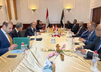FM reaffirms Egypt’s full support to Sudan and its national institutions