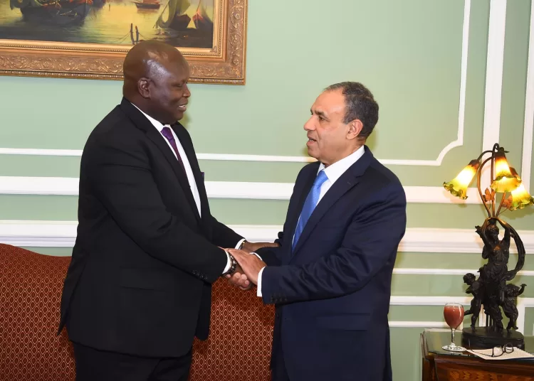 FM reaffirms full support for South Sudan 1 - Egyptian Gazette
