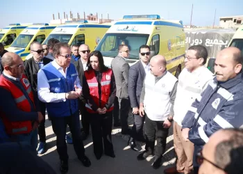 Ministers of health, social solidarity arrive in Arish to stand on final preparations of entrance of aid supplies to Gaza